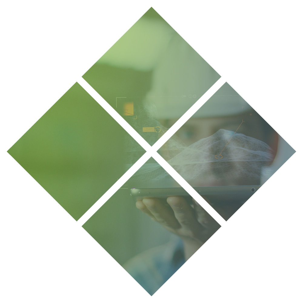 Inspección de riesgos y verificación de riesgos